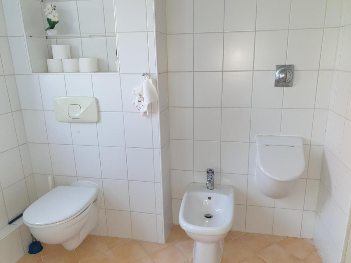 Family Wohnen Mit Garten Am Fusse Des Poestlingbergs Lage Villenviertel Linz