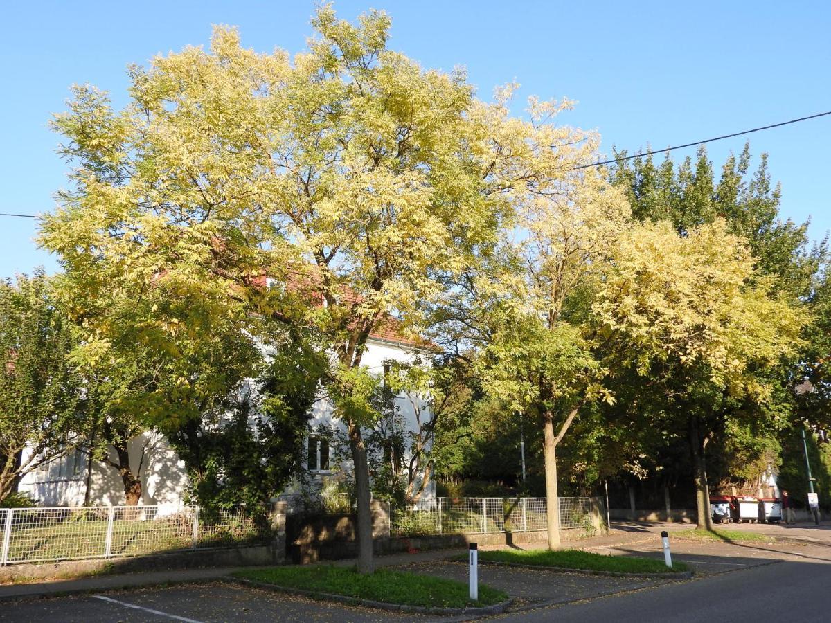 Apartment Family Wohnen Mit Garten Am Fusse Des Poestlingbergs Lage Villenviertel Linz