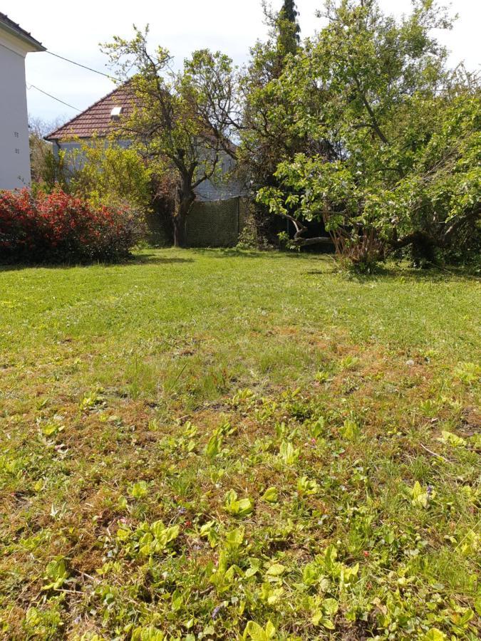 Apartment Family Wohnen Mit Garten Am Fusse Des Poestlingbergs Lage Villenviertel