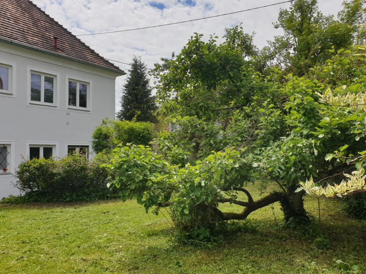 Apartment Family Wohnen Mit Garten Am Fusse Des Poestlingbergs Lage Villenviertel *