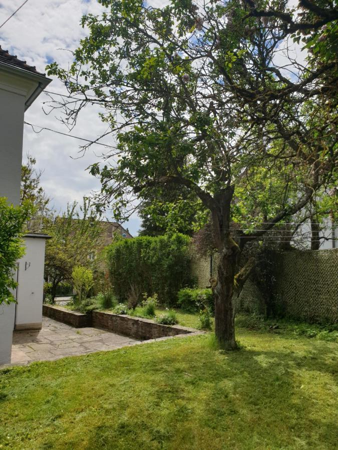 Family Wohnen Mit Garten Am Fusse Des Poestlingbergs Lage Villenviertel Apartment *