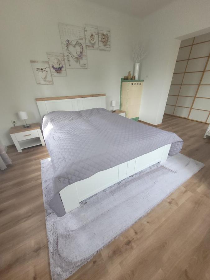 Appartamento Family Wohnen Mit Garten Am Fusse Des Poestlingbergs Lage Villenviertel Linz